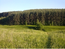 CAM00073.jpg