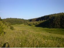 CAM00074.jpg