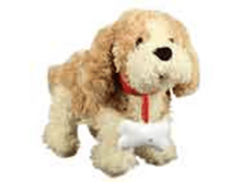 image749.png