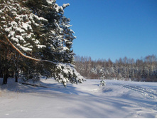 2014-01-19_13.50.57_cr.jpg