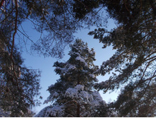 2014-01-19_14.13.45_cr.jpg