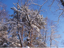 2014-01-19_14.14.57_cr.jpg