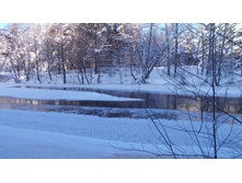 2014-01-19_14.25.31_cr.jpg