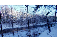2014-01-19_14.25.40_cr.jpg