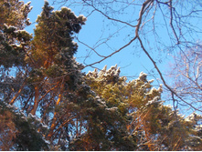 2014-01-19_16.29.07_cr.jpg
