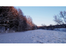 2014-01-19_16.32.33_cr.jpg