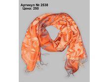 2538-ORANZHEVYY_2.jpg