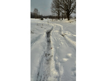 IMG_20140122_150150.jpg