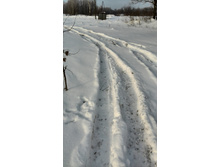 IMG_20140122_150401.jpg