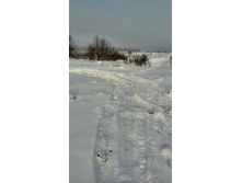 IMG_20140122_150511.jpg