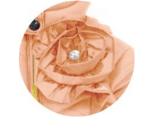 image016.png