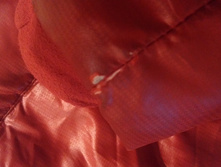 imag0529.jpg
