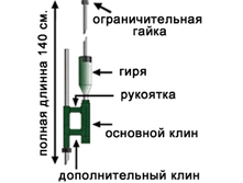 31805006.png
