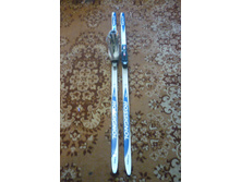00289.JPG