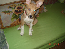 DSC03069.JPG