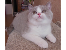 DSCN5890.JPG