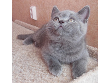 dscn5897.JPG