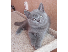 dscn5899.JPG