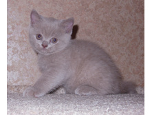 dscn5778.JPG