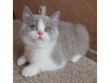 dscn5868.JPG