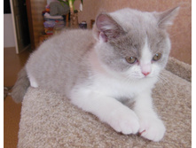 dscn5891.JPG