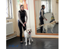 1-IMG_8458.JPG