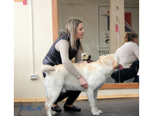 1-IMG_8469.JPG