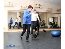 1-IMG_8475.JPG