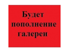 11475367_Bezimjnniy.jpg