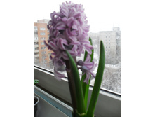 SDC12823.JPG