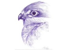 18.05.2010 23:39:38