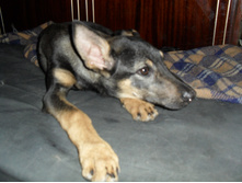 SAM_2583.JPG