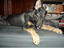 SAM_2587.JPG