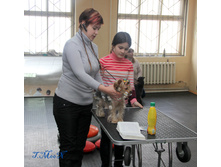 1-IMG_8495.JPG