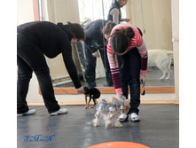 1-IMG_8503.JPG