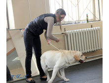 1-IMG_8504.JPG