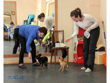 1-IMG_8506.JPG