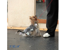 1-IMG_8510.JPG