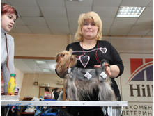 1-IMG_8587.JPG
