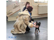 1-IMG_8594.JPG