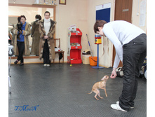 1-IMG_8630.JPG