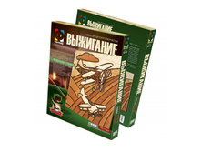 367002_woodpyrography_box-aeroplan-3D-bol.jpg