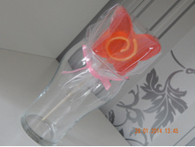 DSCN0650.JPG