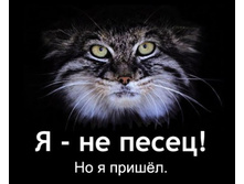 � �� ����� ... ��  � ���ۣ�