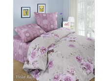 ������ Domus, ���. Violet Rays.jpg