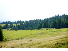 2012-08-21 at 12-21-56.jpg