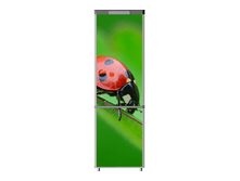 403.png