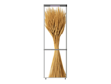 426.png