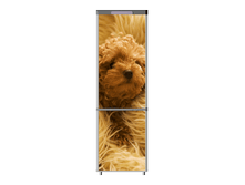 459.png