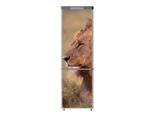 466.png